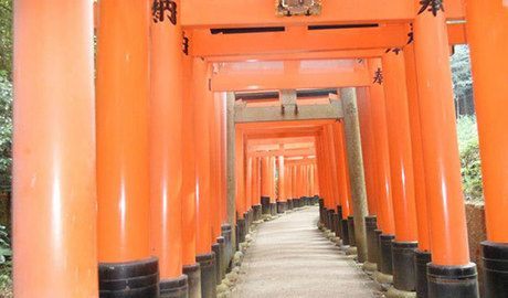 1000 Shrines